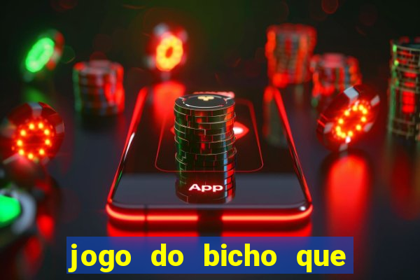 jogo do bicho que paga no pix